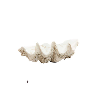 Shell Ornament Creme Taupe Shell Ornament Creme Taupe