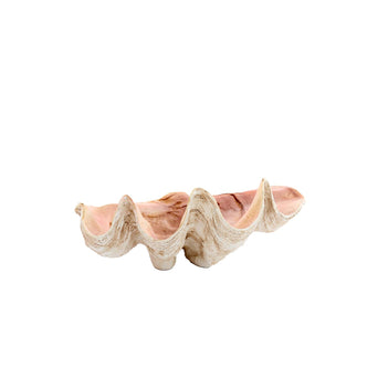 Shell Ornament Taupe Koraal Shell Ornament Taupe Koraal