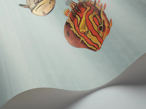 Behang Acquario 97/10030 - Cole & Son