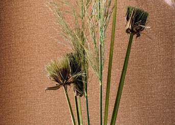 Behang Lins Brodes Lin VP 953 17 - Elitis Behang Lins Brodes Lin VP 953 17 - Elitis