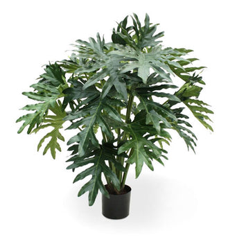 Philodendron Selloum kunstplant H100 - Pot en Vaas