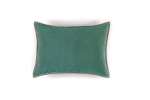 Sierkussen Aristote Aloe Vera - Elitis