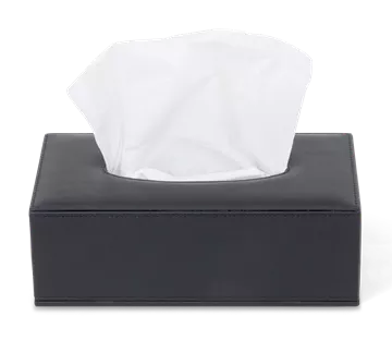 Tissue Box Manam Zwart - Bentley