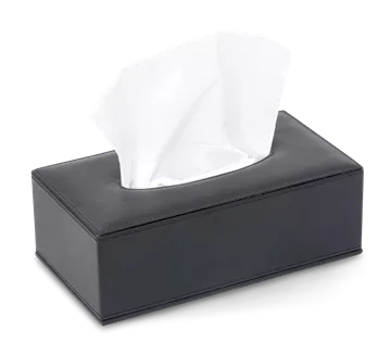 Tissue Box Manam Zwart - Bentley