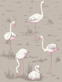 Behang Flamingo - 66/8042 - Cole & Son