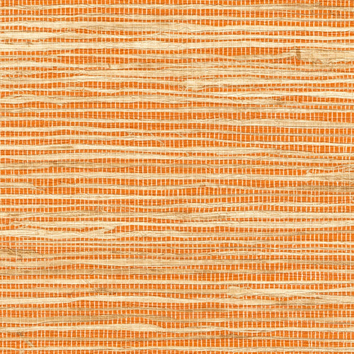 Behang Madagascar Arrowroot Raw Raffia VP 1050 35 - Elitis, Lueurs estivales